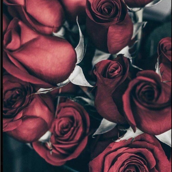 Meet your Posher, - Picture 2 of 4